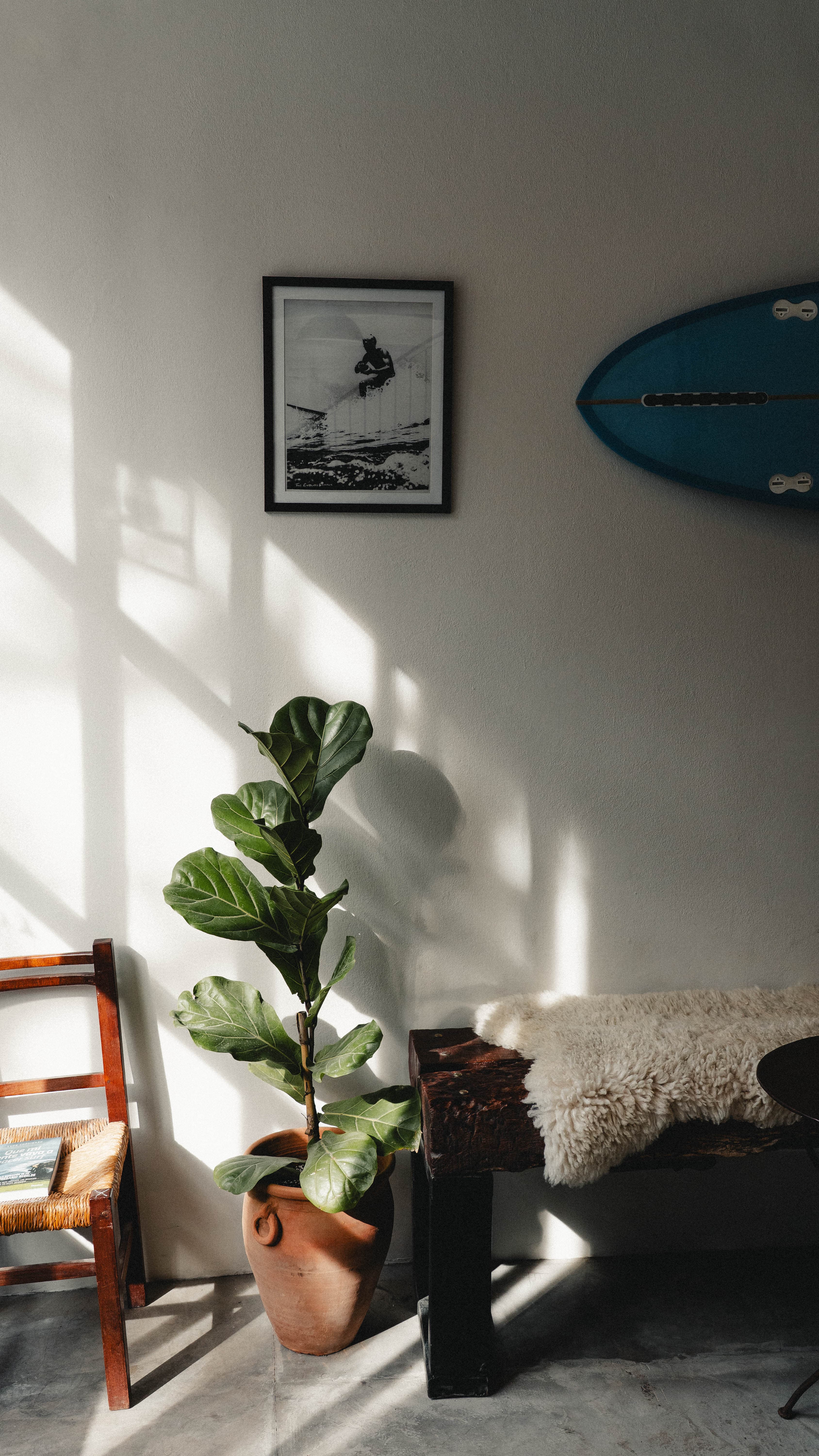 Surf print and surfboard on the wall